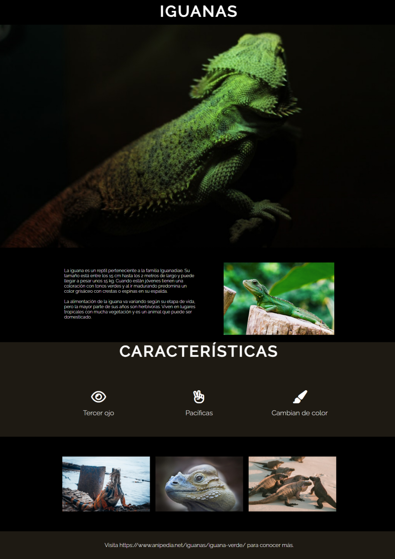 Pagina de las Iguanas